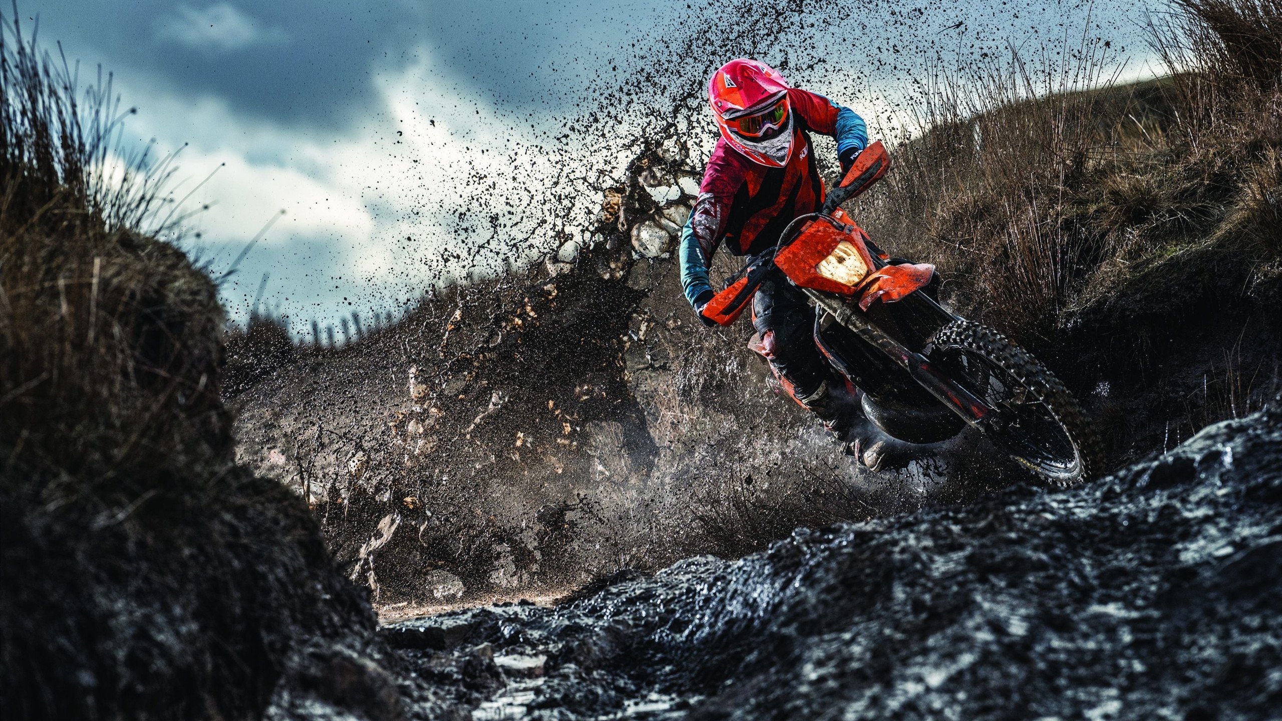 “智慧场馆+绿色基础”深度融合，行业基础设施不断完善升级，智慧场馆解决方案